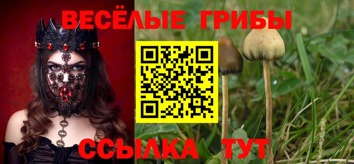 Галлюциногенные грибы мухоморы  Вход с VPN  Фролово 